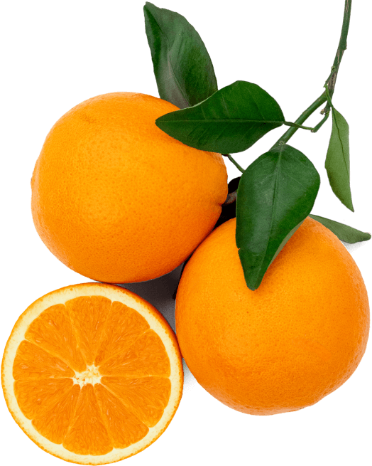 Heirloom Navel Oranges